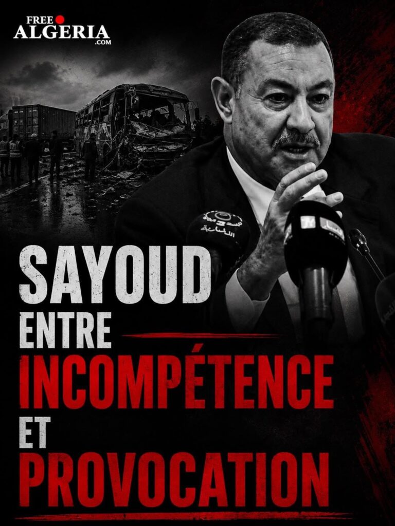 Saïd Sayoud : entre incompétence et provocations....